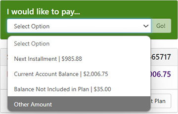 Screenshot of the green payment box